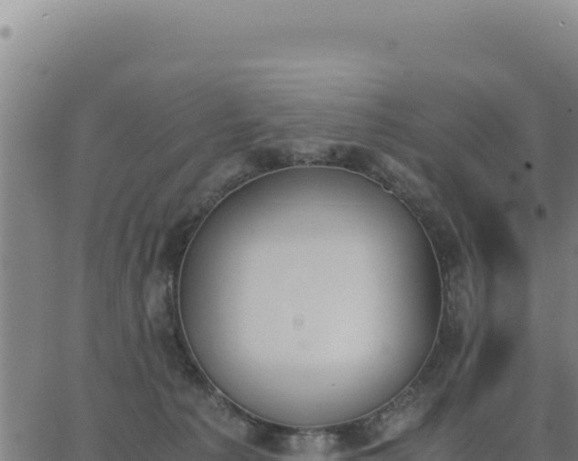 X0000062870225200601201802