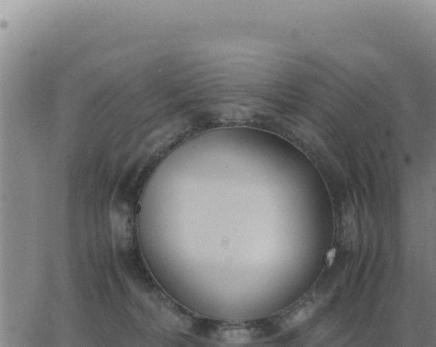 X0000062870228200601201802