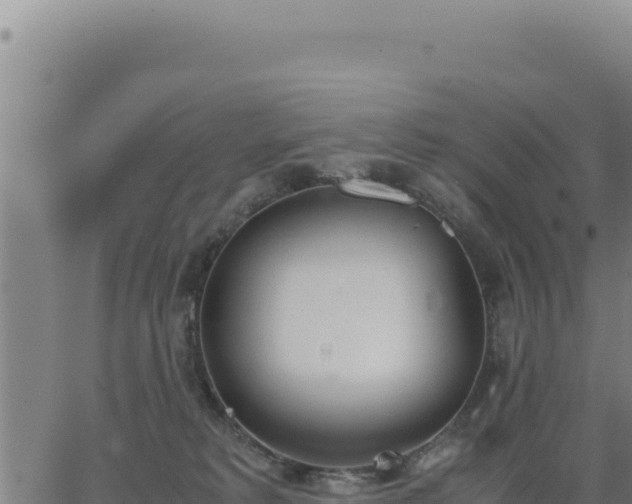 X0000062870229200601201802