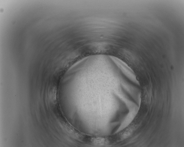 X0000062870230200601201802