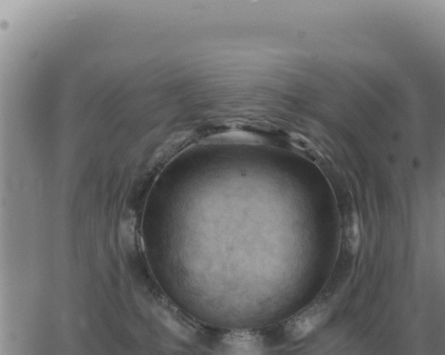 X0000062870231200601201802