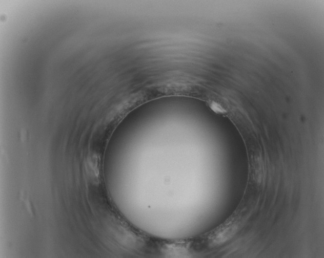 X0000062870232200601201802