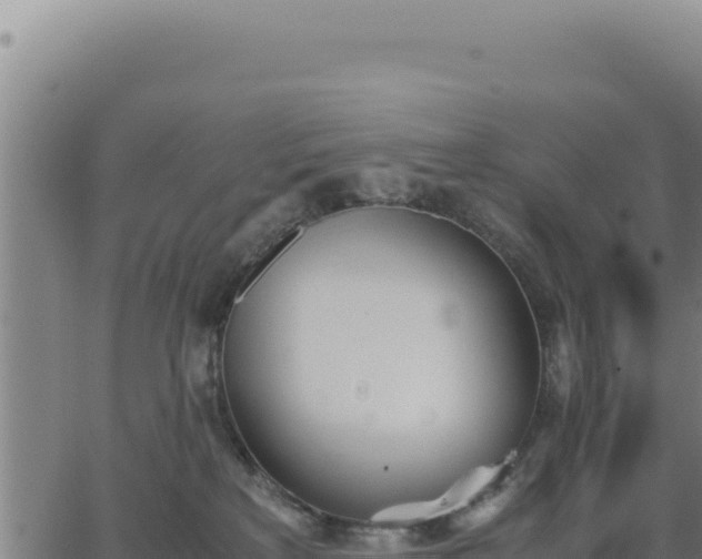 X0000062870233200601201802