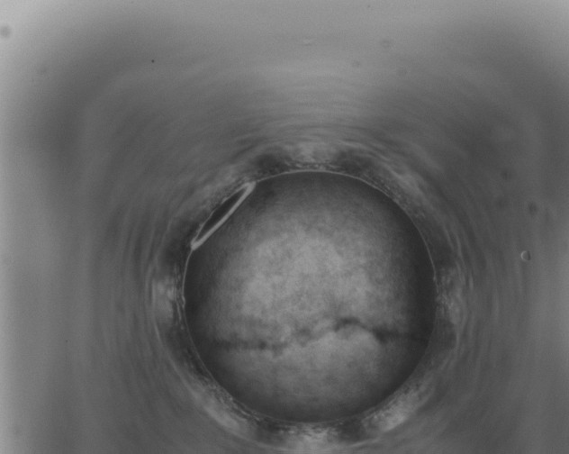 X0000062870235200601201802