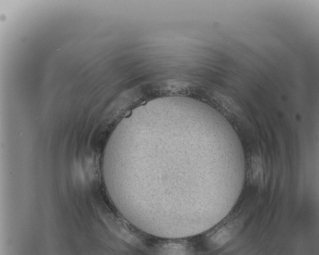 X0000062870236200601201802