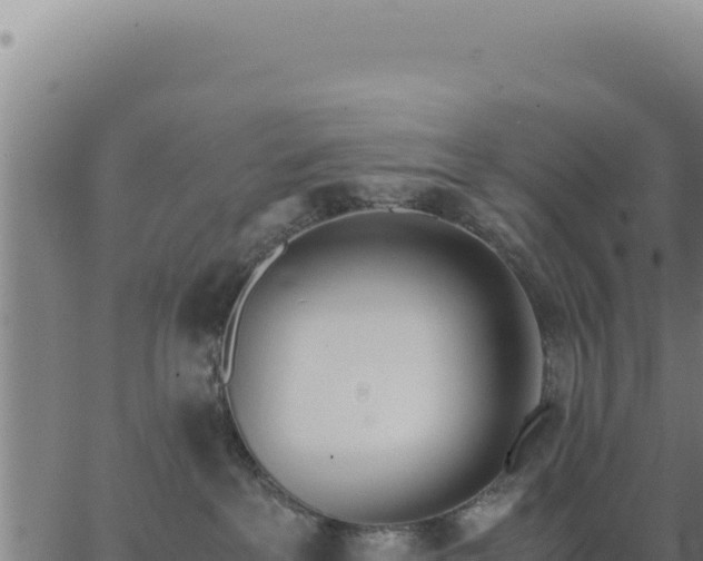 X0000062870237200601201802