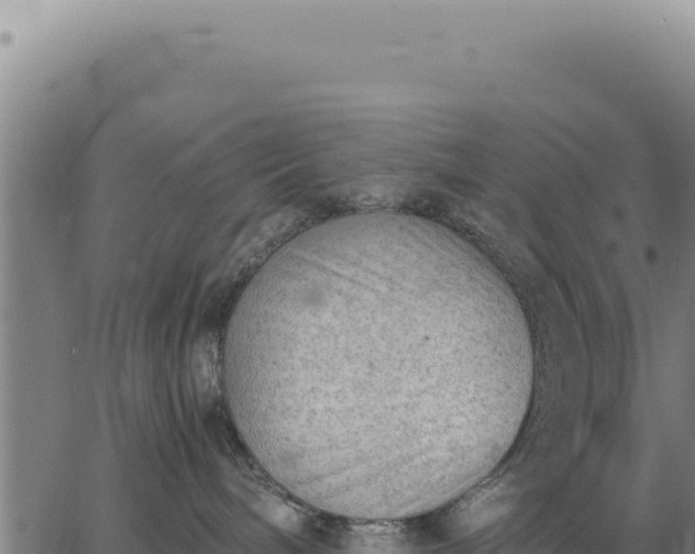 X0000062870240200601201802