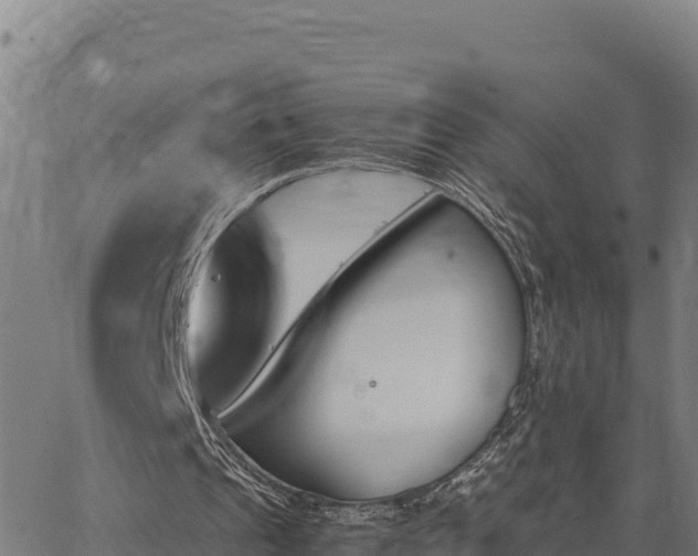 X0000062870241200601201801