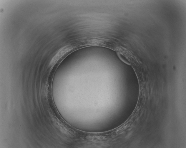 X0000062870242200601201801