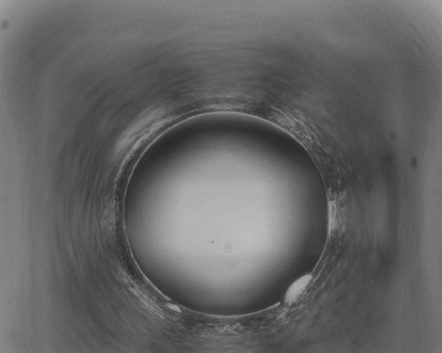 X0000062870243200601201801