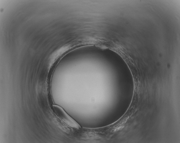 X0000062870244200601201801