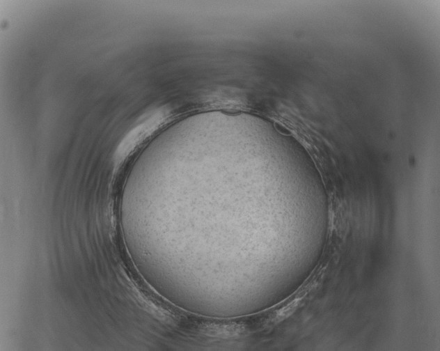 X0000062870245200601201801