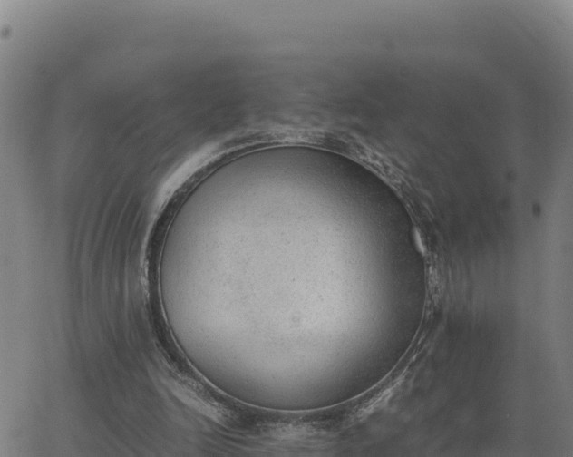 X0000062870246200601201801