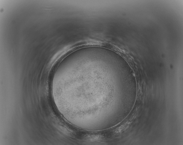 X0000062870247200601201801