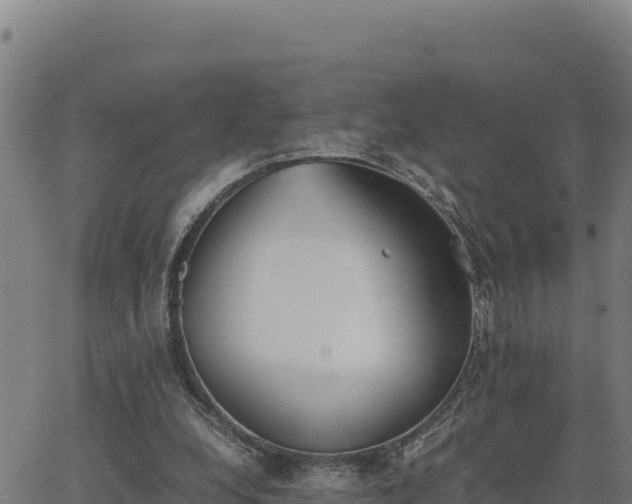 X0000062870248200601201801