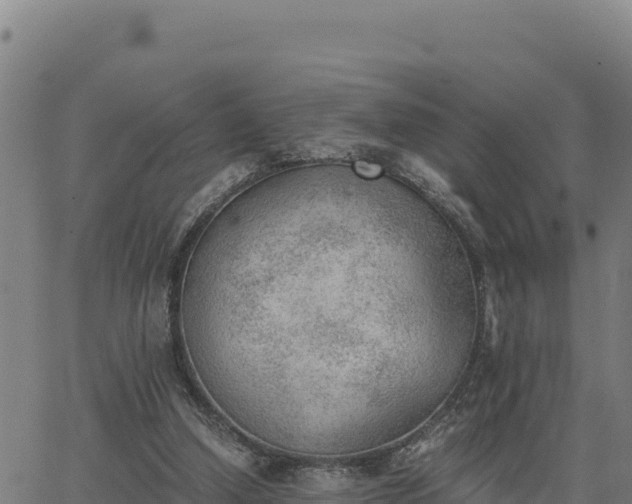 X0000062870250200601201801