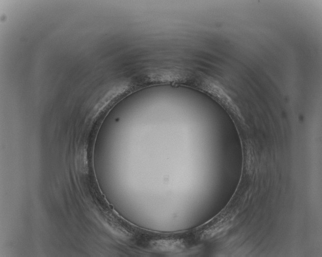 X0000062870251200601201801