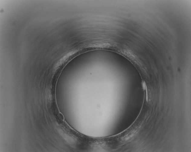 X0000062870252200601201801