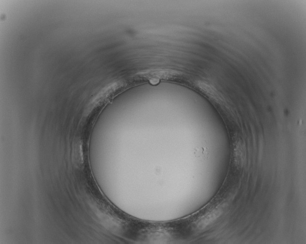 X0000062870254200601201801