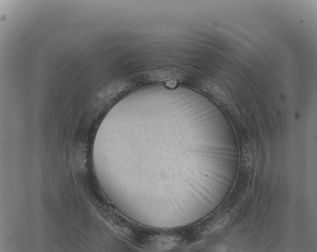 X0000062870255200601201801