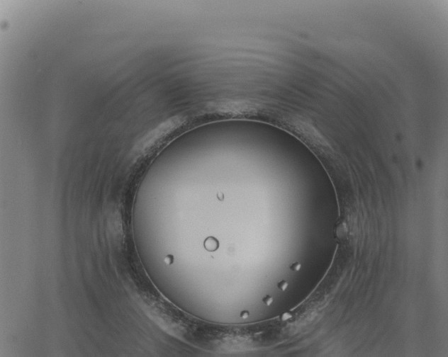 X0000062870256200601201801