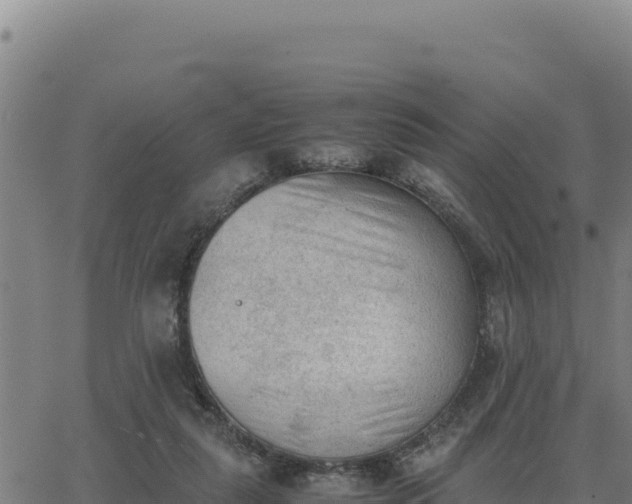 X0000062870259200601201801