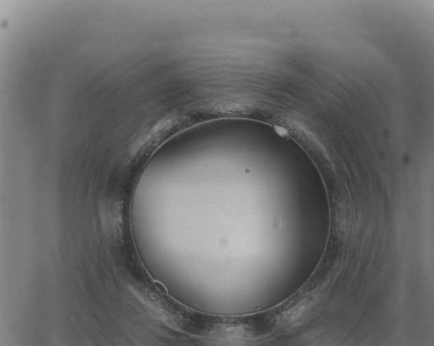 X0000062870260200601201801