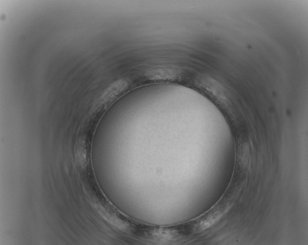 X0000062870261200601201801