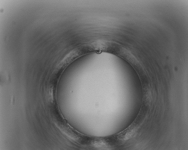 X0000062870262200601201802