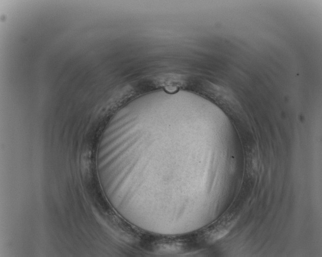 X0000062870263200601201802