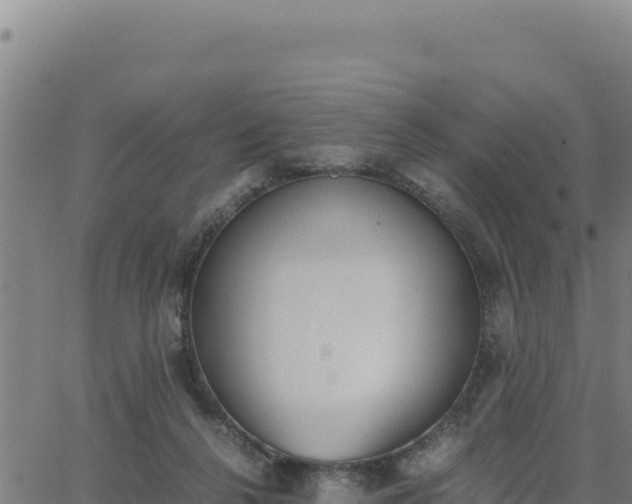 X0000062870264200601201802