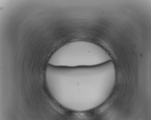 X0000062870265200601201802