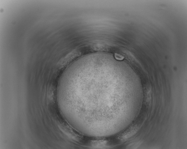 X0000062870266200601201802