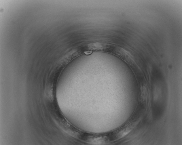 X0000062870267200601201802