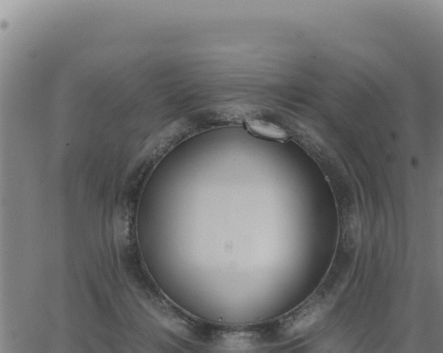 X0000062870268200601201802