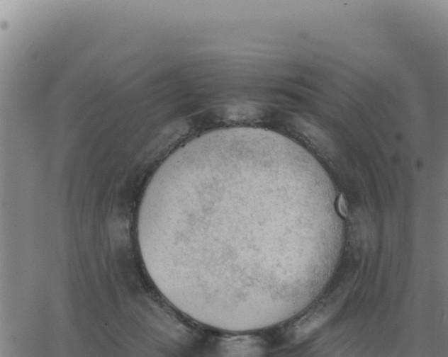 X0000062870269200601201802