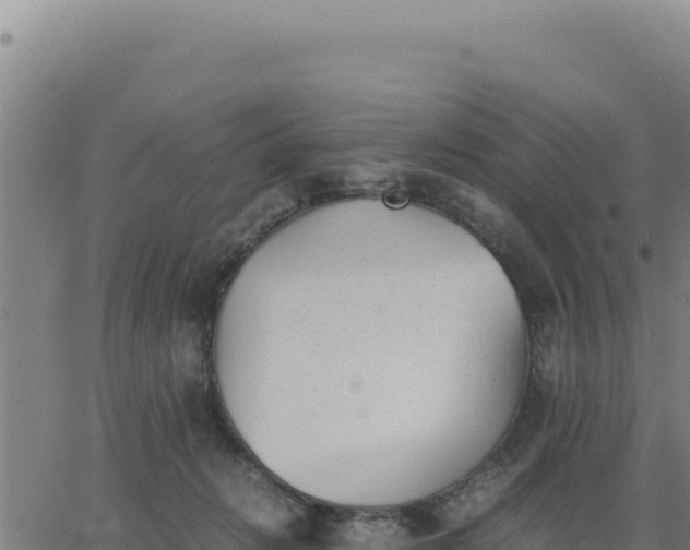 X0000062870270200601201802