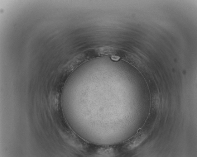 X0000062870271200601201802