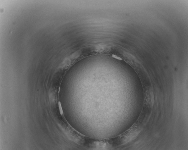 X0000062870272200601201802