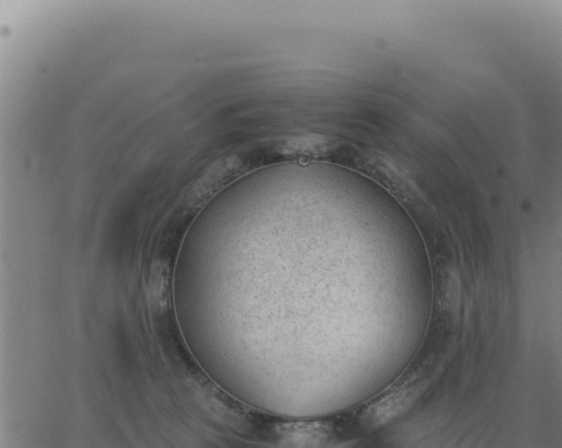 X0000062870273200601201802