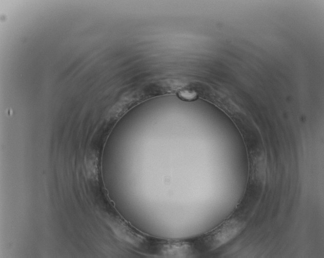 X0000062870274200601201802