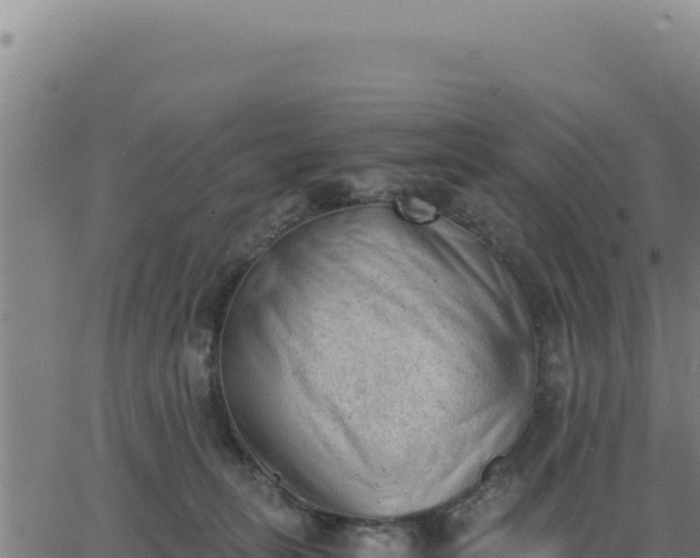 X0000062870275200601201802