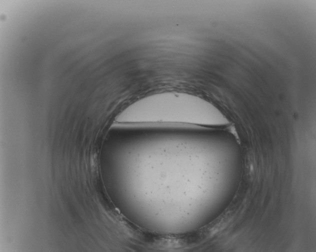 X0000062870276200601201802