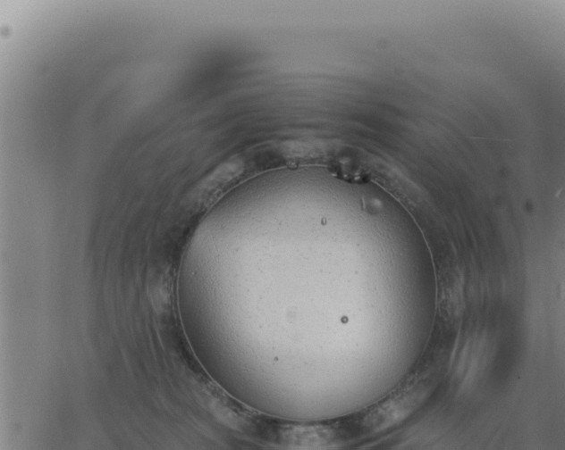 X0000062870277200601201802