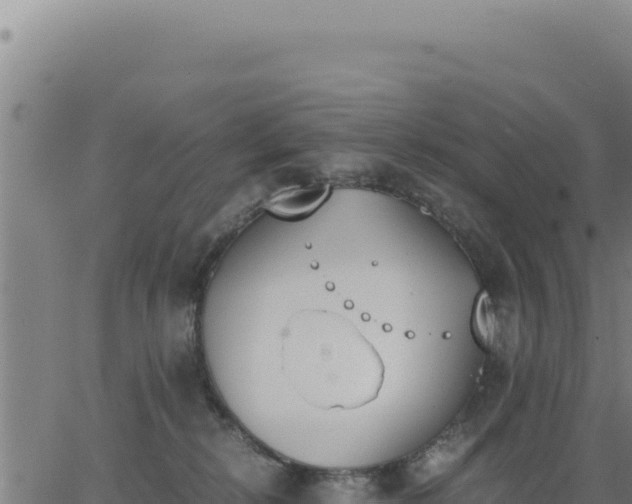 X0000062870278200601201802