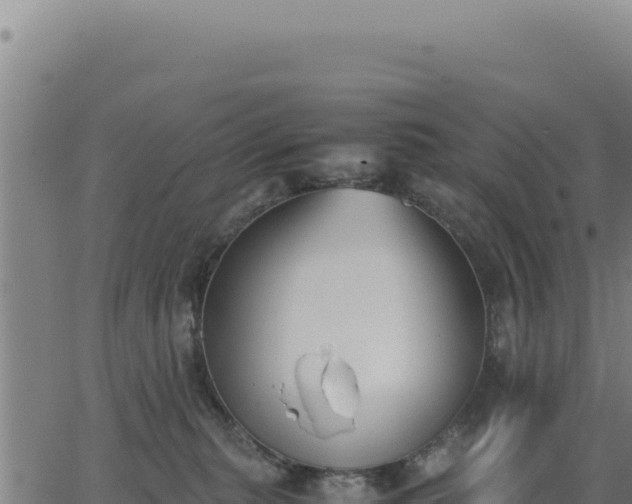 X0000062870279200601201802