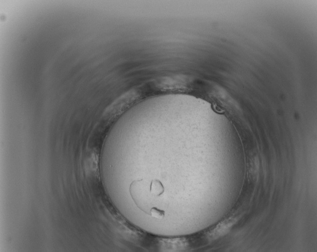 X0000062870281200601201802