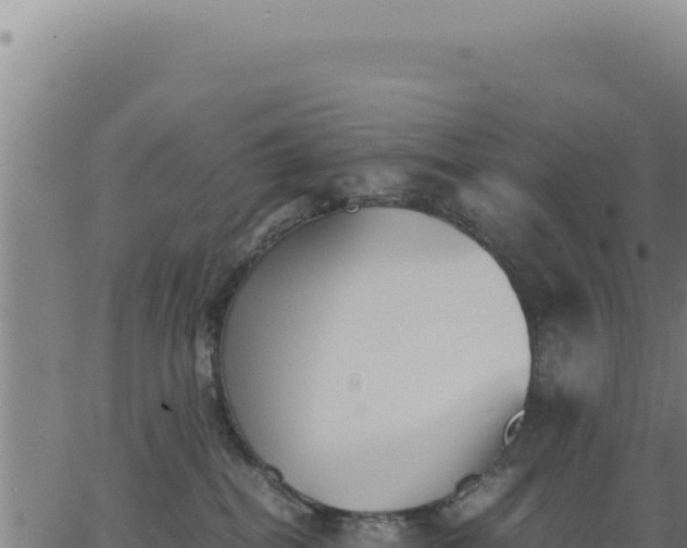 X0000062870282200601201802