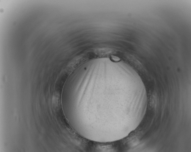 X0000062870283200601201802