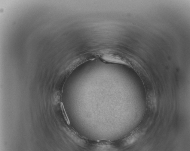 X0000062870284200601201802